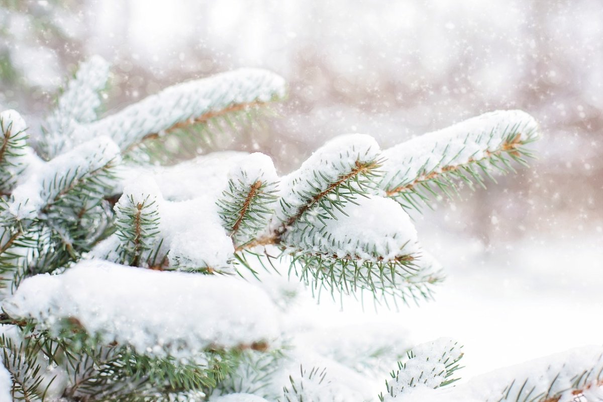 Nous souhaitions pour Noël faire deux heureux au lieu d'un, pour chaque carte cadeau offerte !
Nous avons donc imaginé cette offre pour les fêtes.
