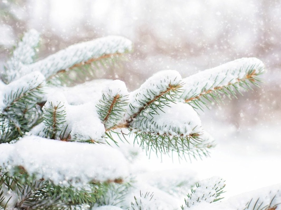 Nous souhaitions pour Noël faire deux heureux au lieu d'un, pour chaque carte cadeau offerte !
Nous avons donc imaginé cette offre pour les fêtes.