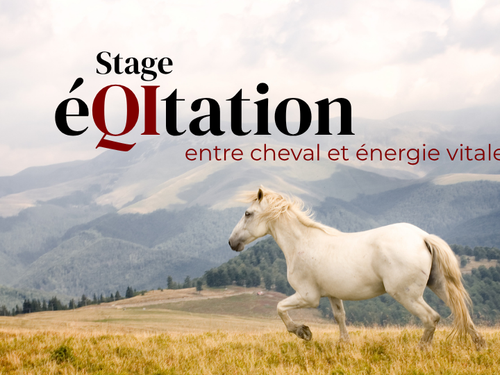 Rencontrer le cheval autrement, en cultivant la présence, l'écoute et le souffle.
Dans un monde en perpétuel mouvement, il existe un espace de lenteur, de silence, d'écoute.
Un lieu subtil où le corps devient langage, où le souffle guide la posture, où la présence crée le lien.
C'est dans cet espace que nous vous invitons à entrer.
Celui de la rencontre consciente entre l'humain et le cheval.
Nos stages d'éQItation tissent ensemble les pratiques du Tai Chi Chuan, du Qi Gong, de la méditation, du comportementalisme équin et de la communication subtile pour explorer une autre manière d'entrer en relation avec le cheval… et avec soi-même.